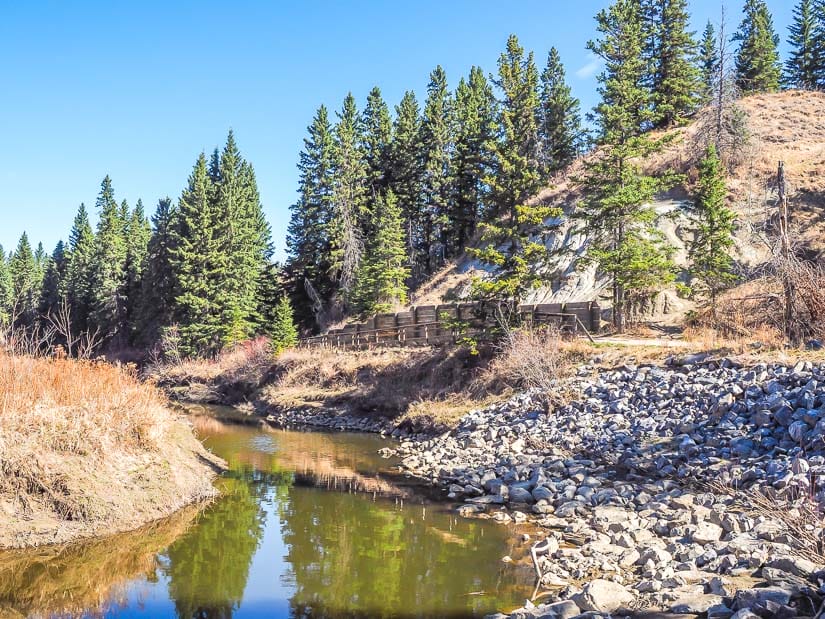 Whitemud Creek Ravine Trail