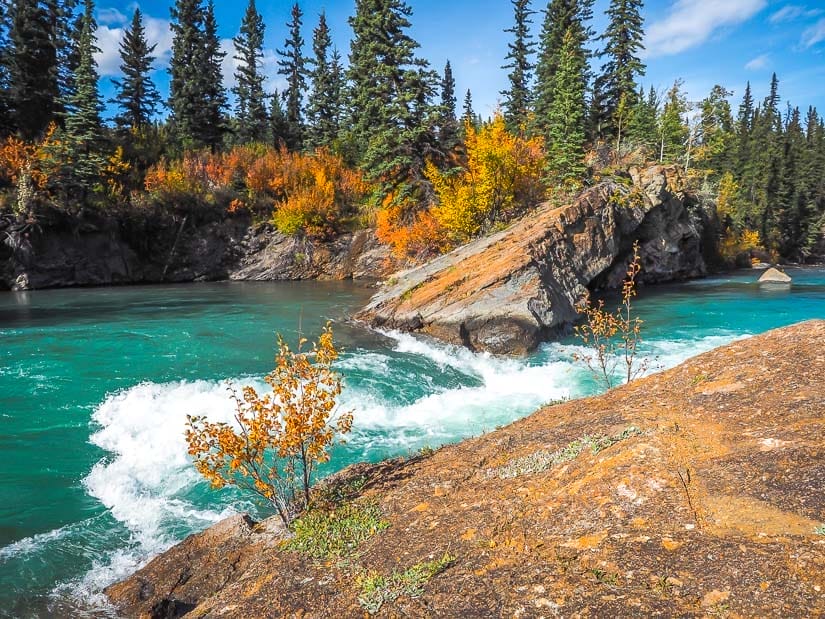 Widow MakerKananaskis River