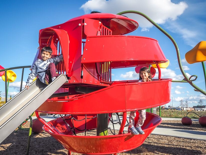 A kid going down a slide from a tomato-shaped playground