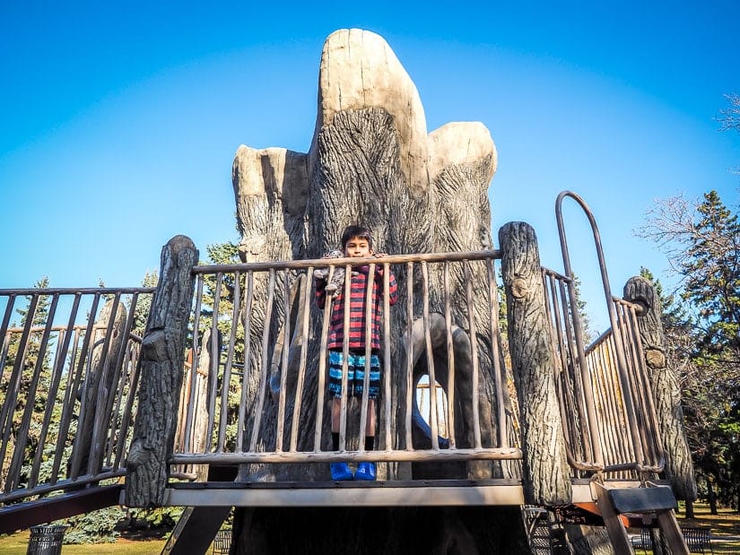 A kid playing in a tree-themed playground at Borden Park