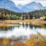 A guide to the best short walk and hiking trails in Canmore, Alberta