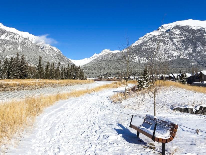 A bench on Cougar Creek Trail in winter