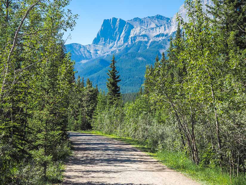 A kid-friendly hiking trail in Canmore West Park