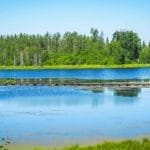 The best day trips from Edmonton, Alberta