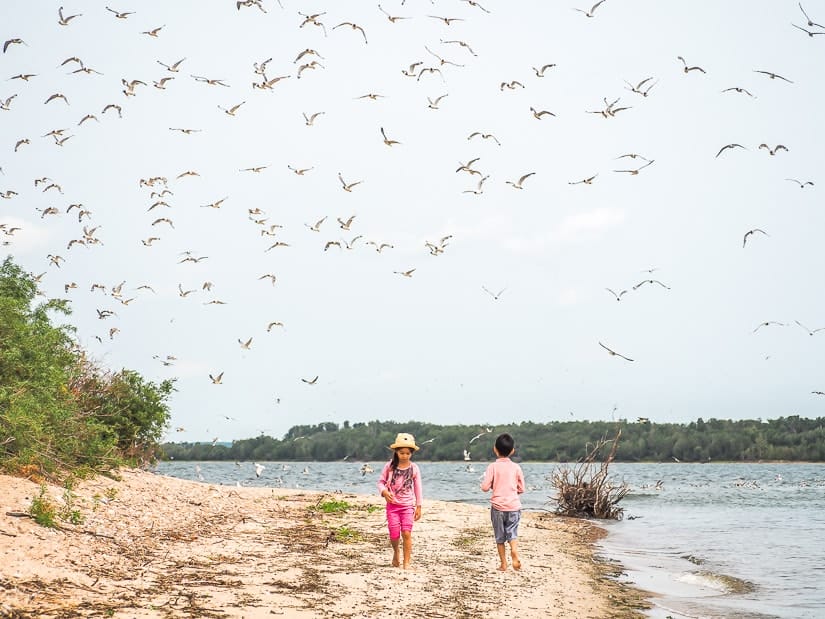 Two kids by a lake with many birds flying above them in the sky at Lac La Biche, Alberta