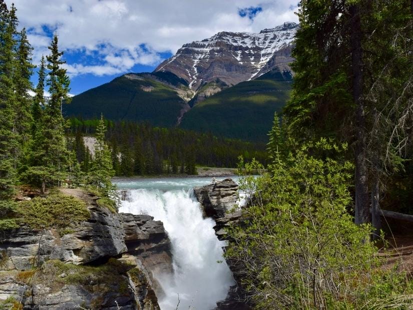 Athabasca Falls, Jasper, with mountains in the background