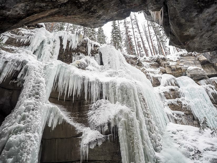 A canyon wall covered in frozen waterfalls and icicles