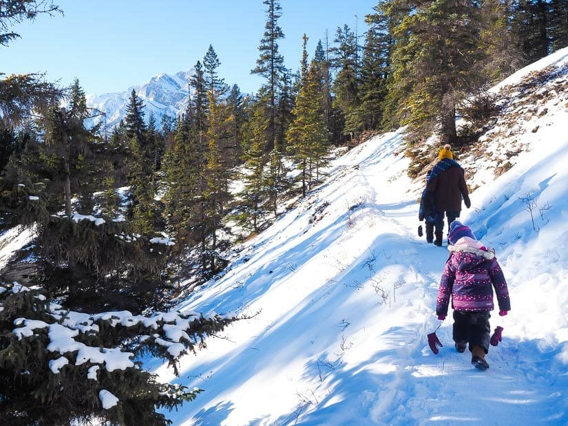 A family walking on Maligne Canyon trail in winter, with Jasper's Pyramid Mountain in background