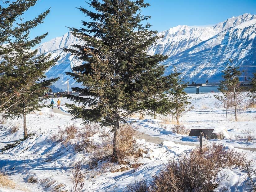 Two people walking on the Jasper Discovery Trail in winter
