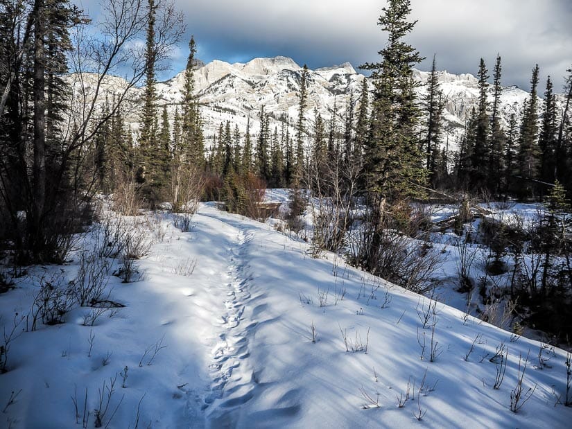 A Jasper winter walking trail to Jasper House National Historic Site