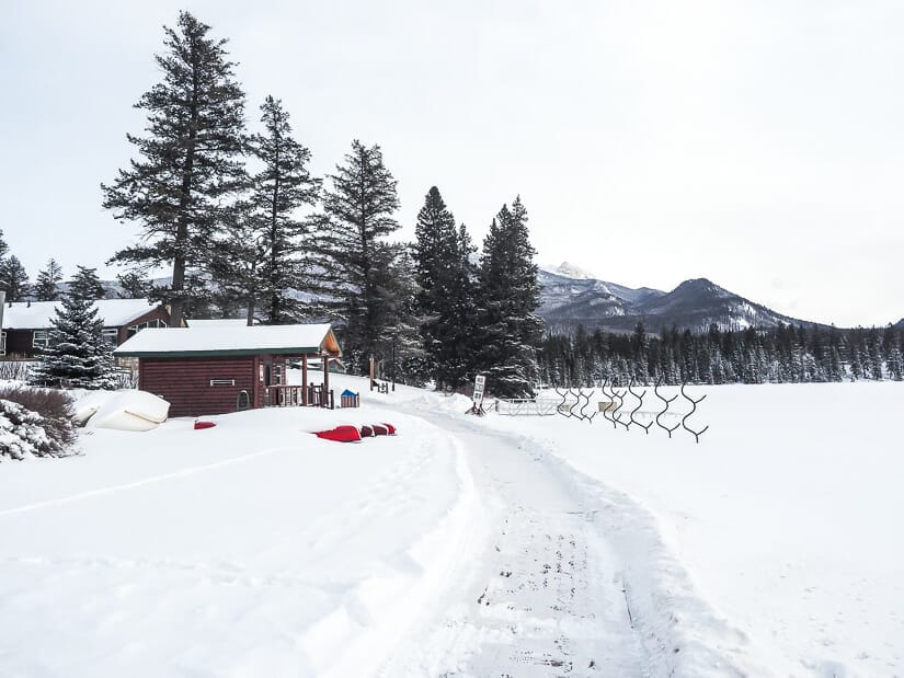Winter walking trail in front of Jasper Park Lodge