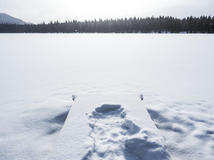 A snow covered dock and lake on winter walk in Jasper