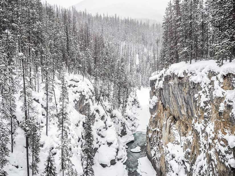A wide valley covered in snow on the Sunwapta Jasper winter hike