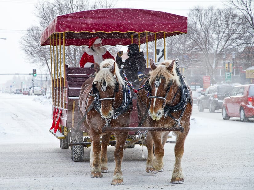 Santa riding a horse-pulled sleigh in winter on Edmonton's Whyte Avenue