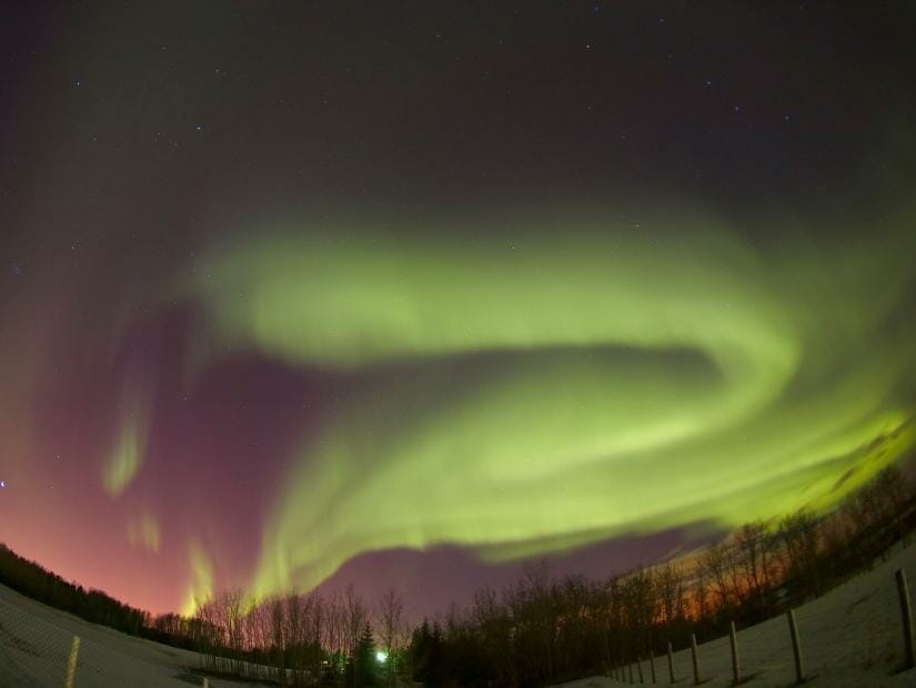 Northern lights in the sky near Edmonton in winter