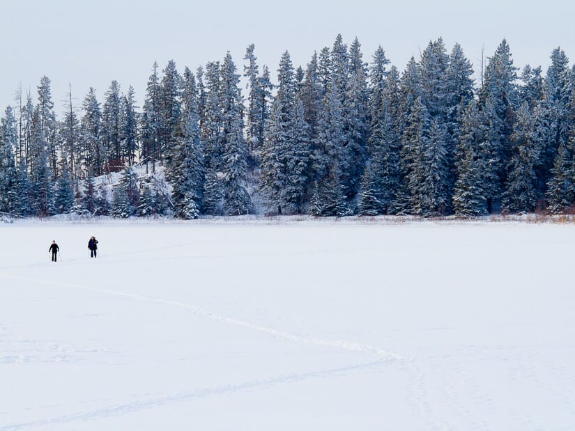 Two people snowshoeing in the distance in Edmonton