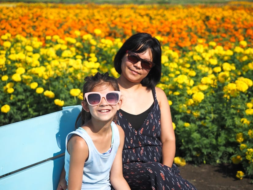 A mother and daughter sitting on blue bench with sunglasses and fields of yellow and orange flowers behind them
