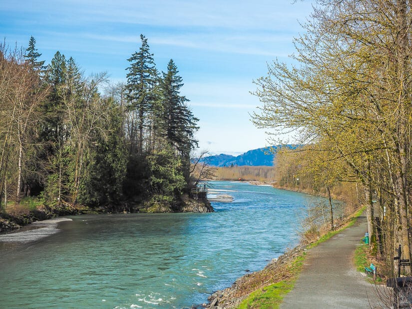 A path along Chilliwack River at Vedder Park
