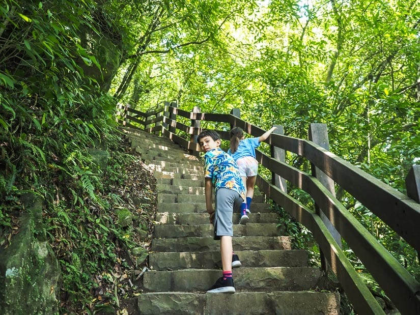 Two kids shot from behind as they climb up some steep stairs in the jungle, with the boy looking back toward the camera