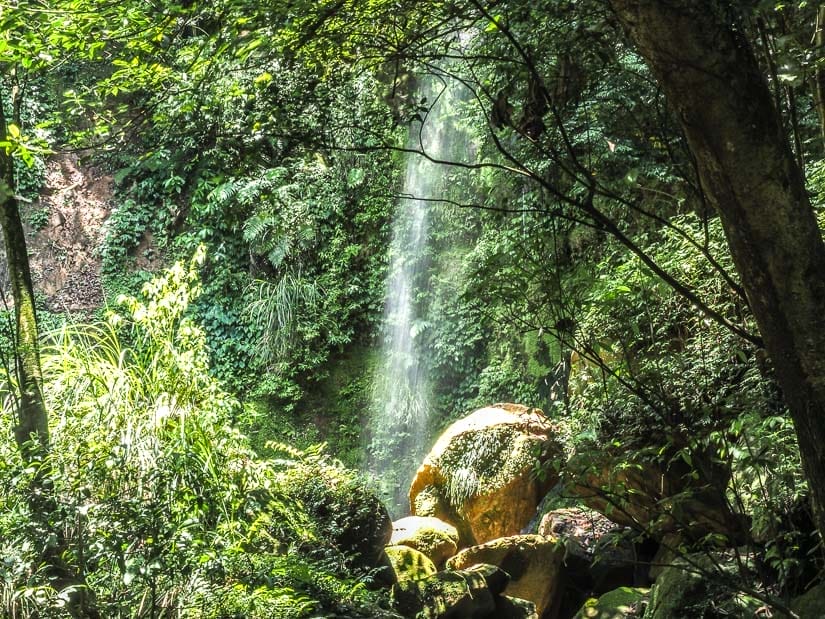 A narrow stream of water plunges down in the middle of a lush jungle