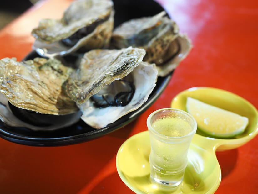 A plate of oysters with a small glass of white wine on a red table
