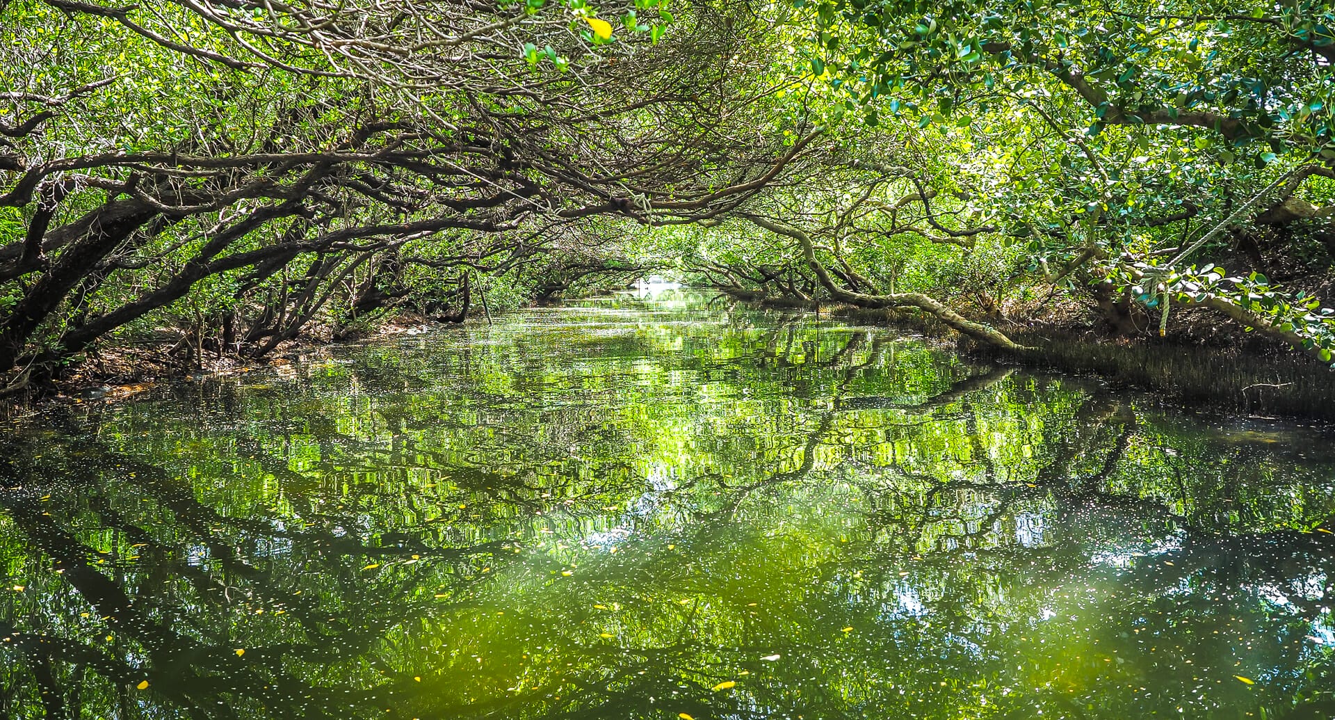 Is Sicao Green Tunnel in Tainan Worth the Trip? - Spiritual Travels