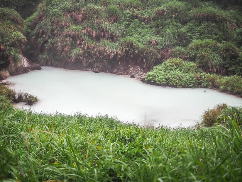 A milk-colored pond on a Yangmingshan hike