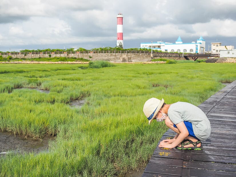 A young kid looking over the edge of the dock at Gaomei Wetlands