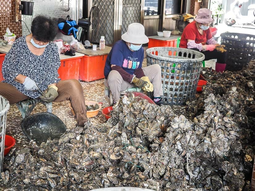 Some Taiwanese women shucking oysters with a huge pile of oyster shells in front of them