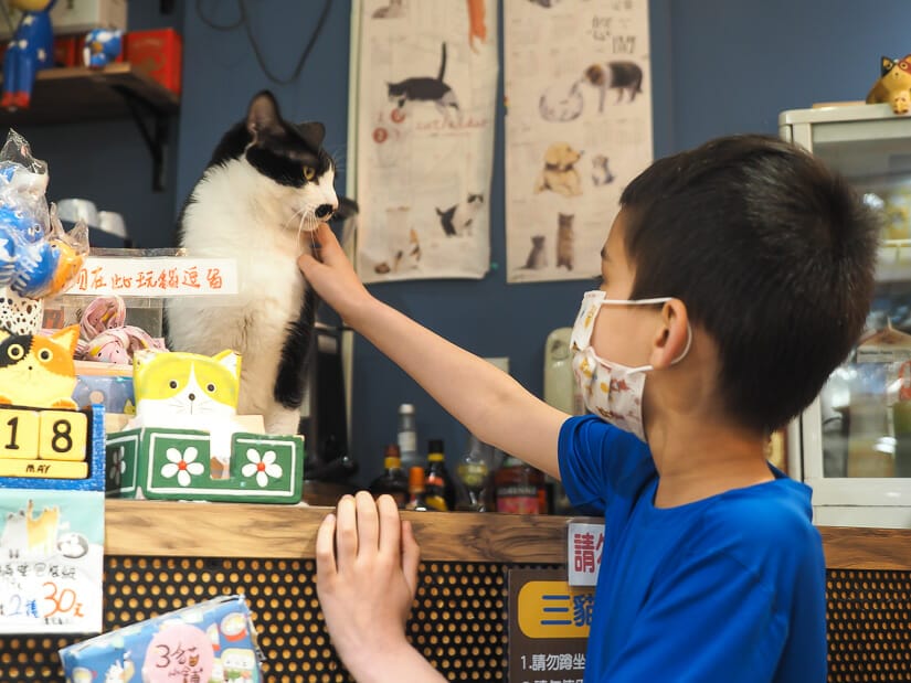 A boy wearing a mask and reaching out to pet a cat on the bar at 3 Cat Shop in Taipei