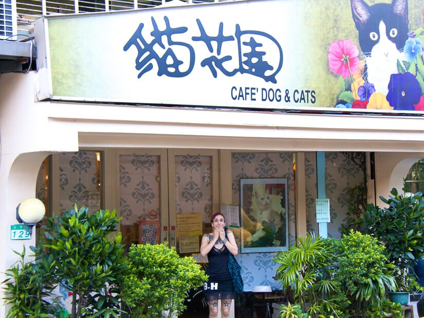 A young woman standing in front of the world's first cat cafe in Taipei, Taiwan