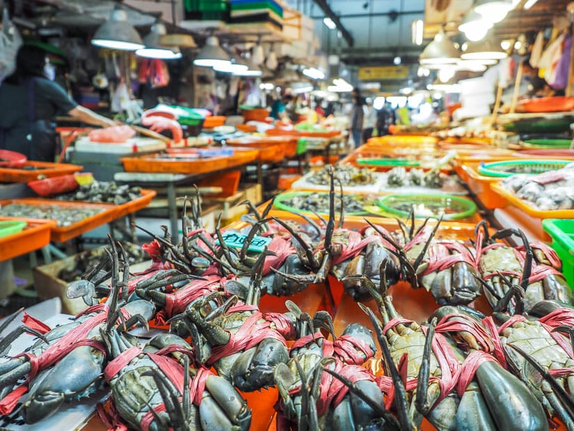 Seafoods for sale in Huaqiao Fish Market