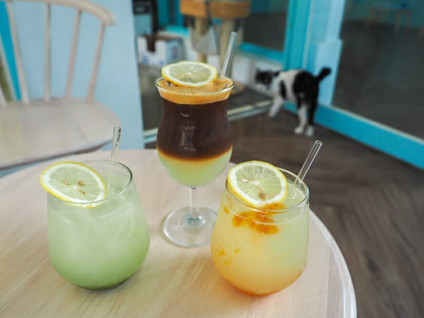 Three lemonades on a table with a cat in the background