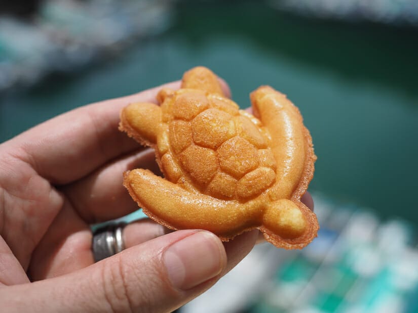 A hand holding up a small caked shaped like a sea turtle on Xiao Liu Qiu Island