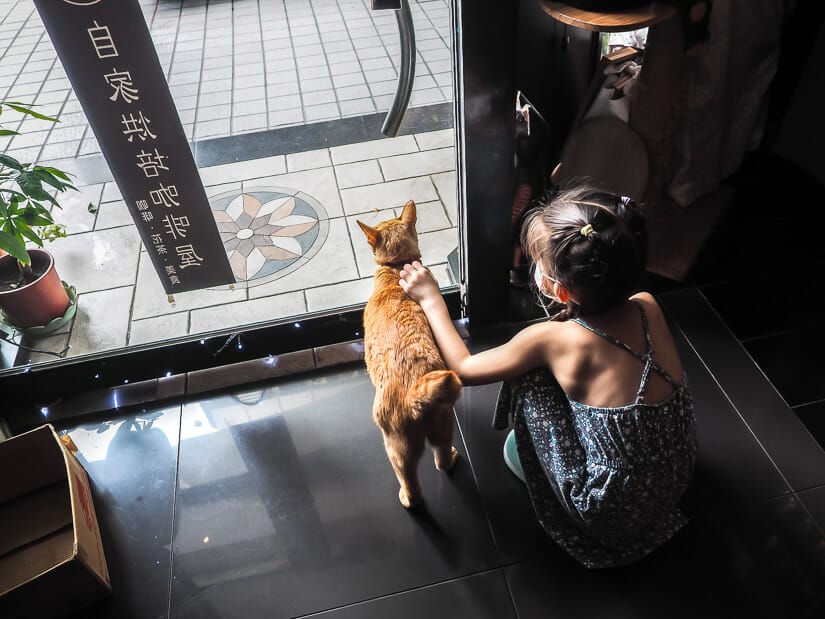 A girl bending over to pet a cat in a cat cafe in Taipei