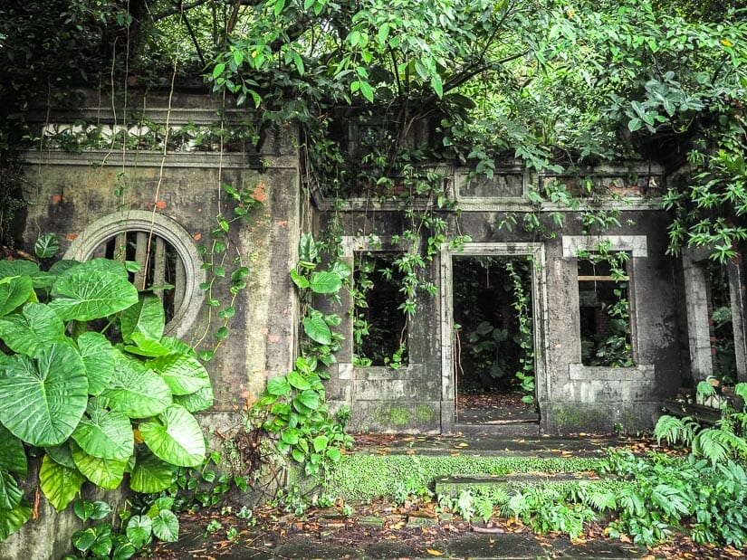 Khóo Tsú-song Old Mansion in Keelung overgrown with trees