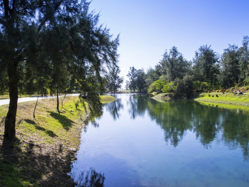 A pond in Taitung Forest Park with trees and walking paths around it