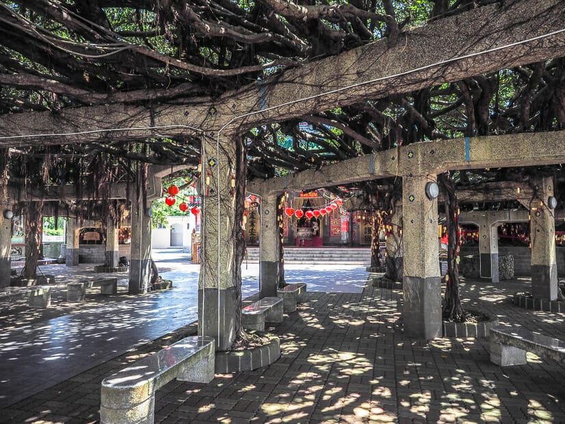 Baoding Banyan Tree Temple in Penghu