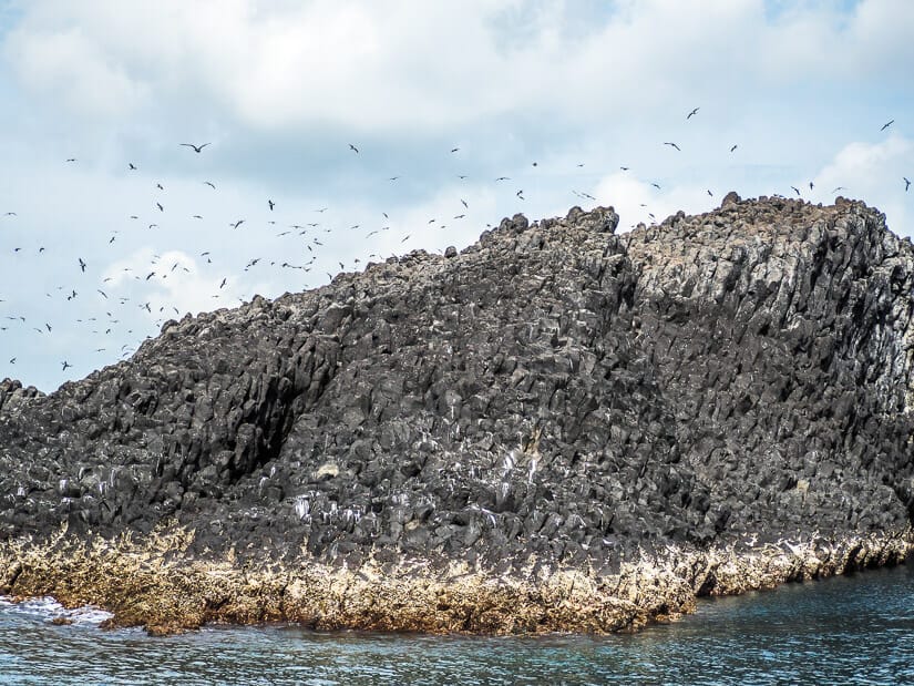 A rocky island covered in birds in Penghu