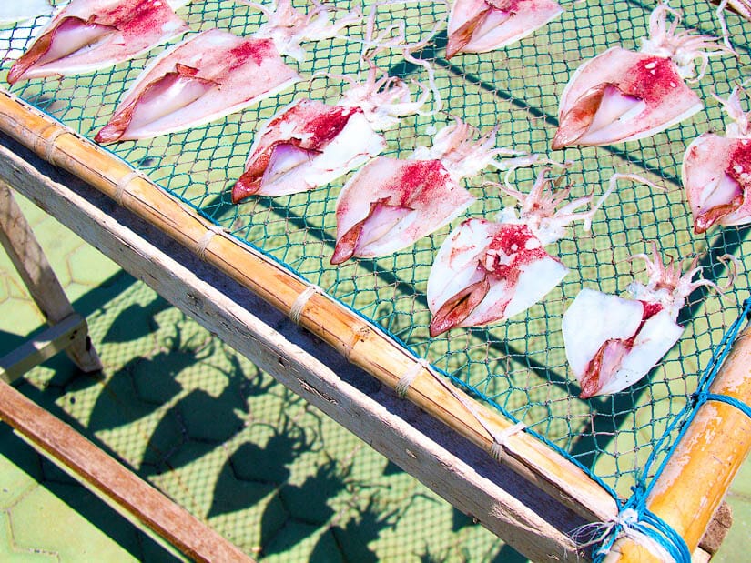 A rack with squids drying in the sun on it, casting shadows on the ground below, in Pengu Islands