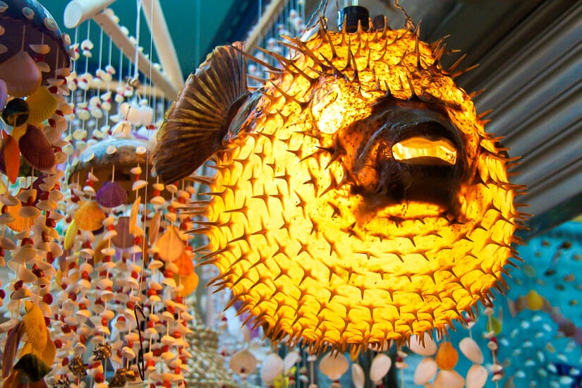 A lit up pufferfish lamp for sale in a shop in Penghu
