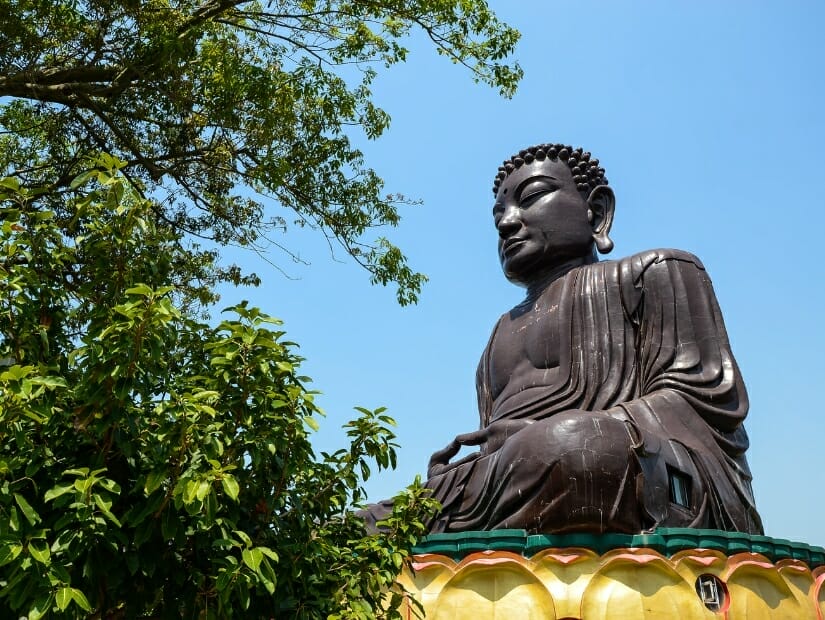 Huge seated Buddha beside a large tree at Baguanshan Temple, Changhua, Taiwan