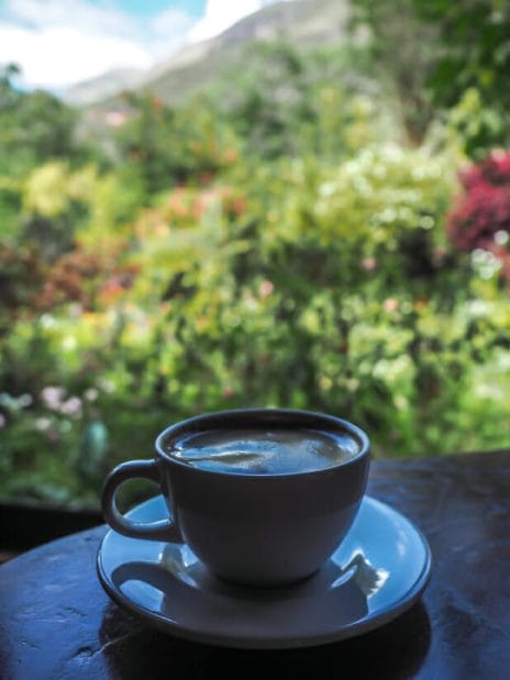 A coffee cup on a table with view of gardens behind it