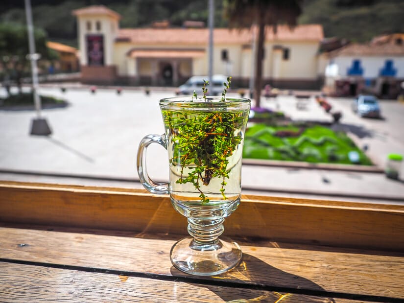 A clear mug filled with herbal tea, and with Pisac's main plaza and church in the background