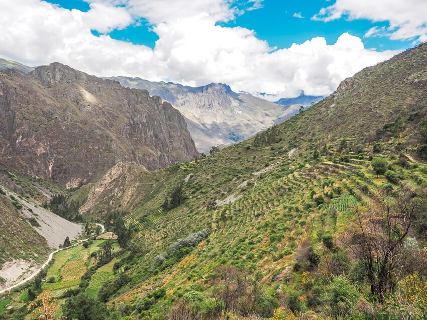 A large valley with agricultural terraces