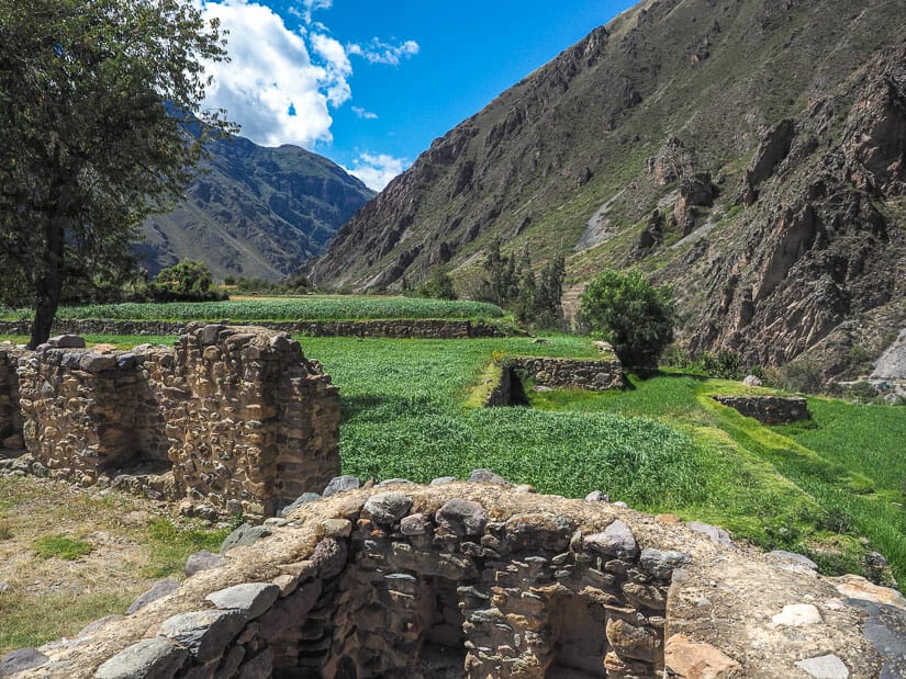 Some ruins called Qelloraqay in Ollantaytambo overlooking some green terraces and a valley