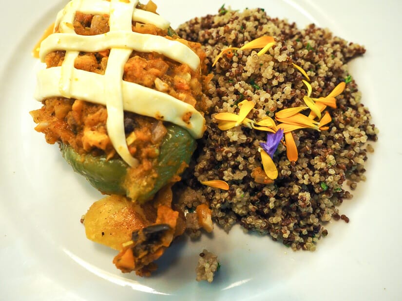 Close up of my meal, a traditional dish consisting of stuffed gourd with cheese and quinoa with flowers, at El Albergue restaurant in Ollantaytambo