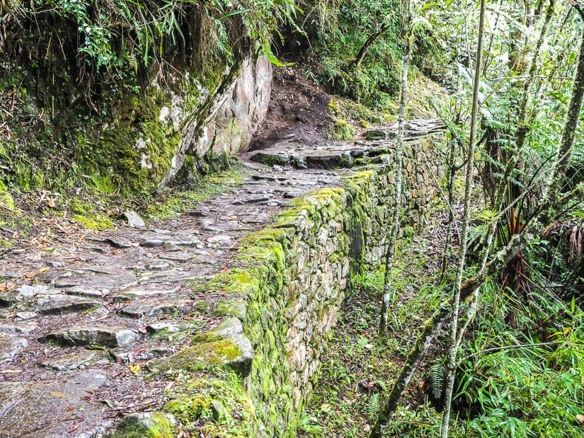 A stone Inca trail through the forest