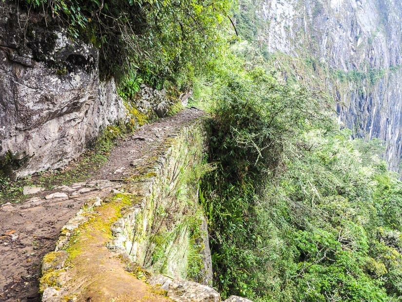 Trail along a cliff, with no barrier on the side.