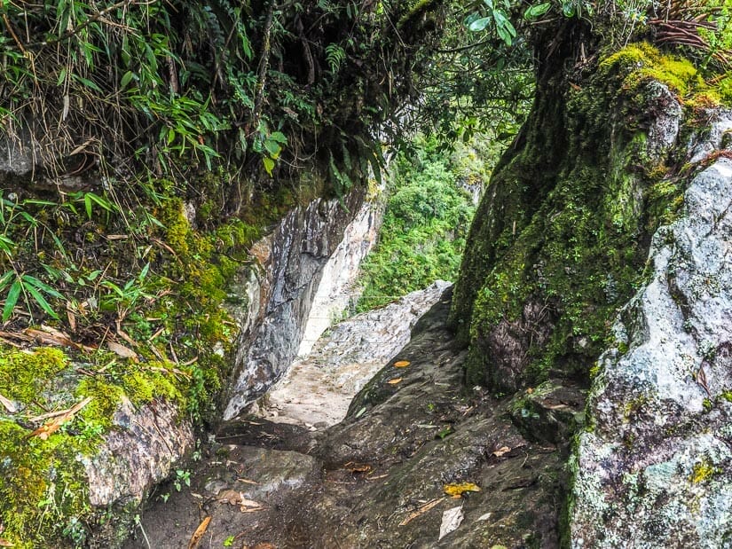 A narrow section of trail passing between two stone walls